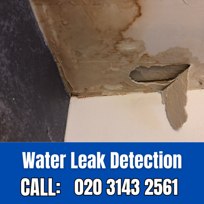 Expert Water Leak Detection Services in Streatham Hill | Streatham Hill Leak Detection